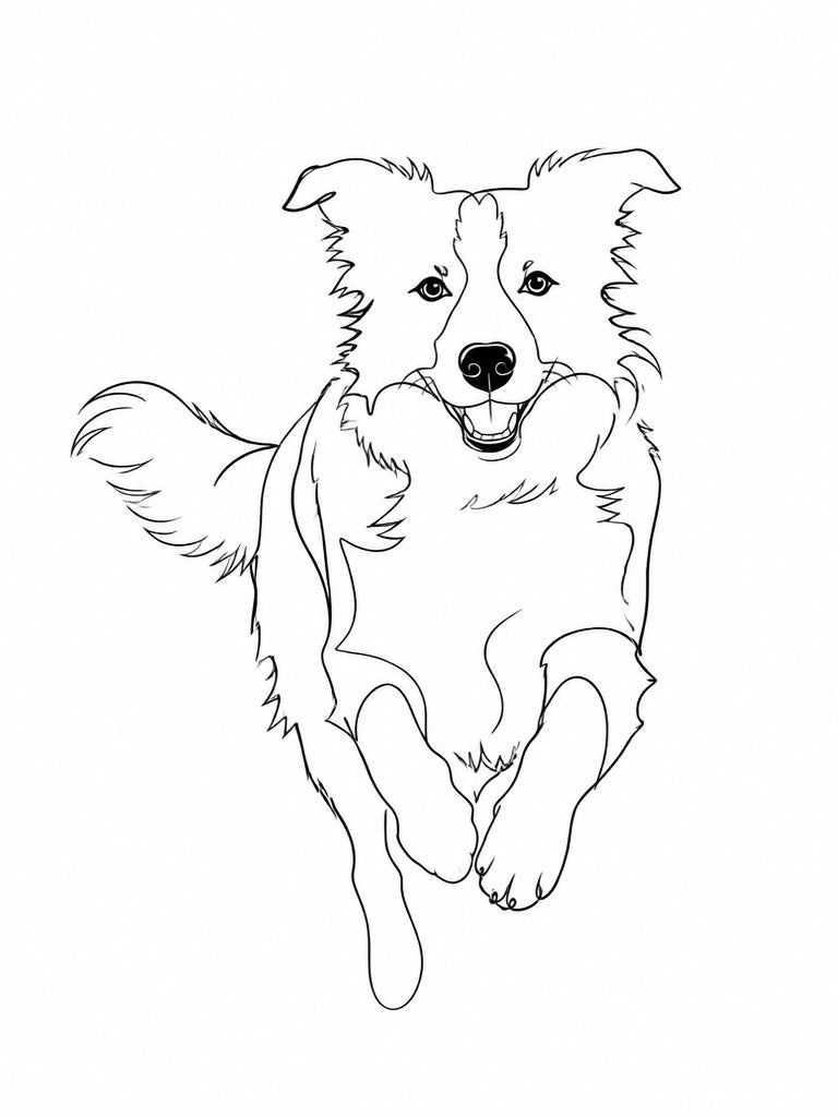 Custom Pet Line Art Portrait | Minimalist Digital Drawing